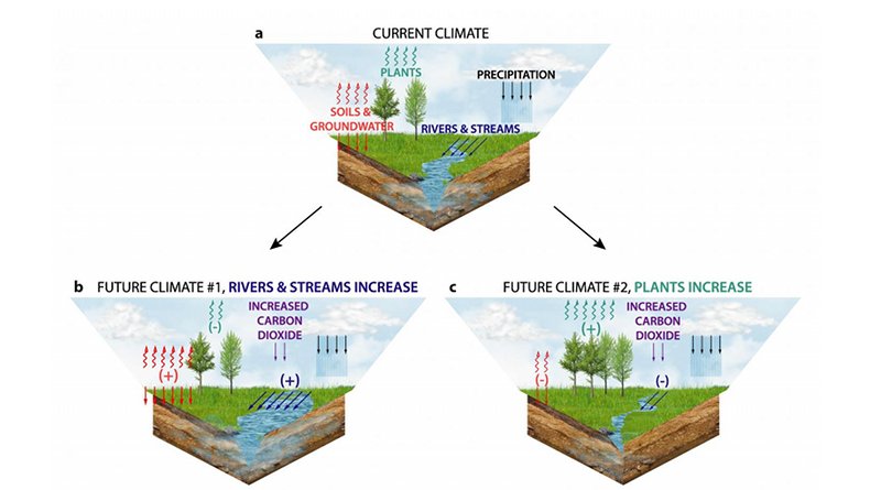 water wetter review water wetter review