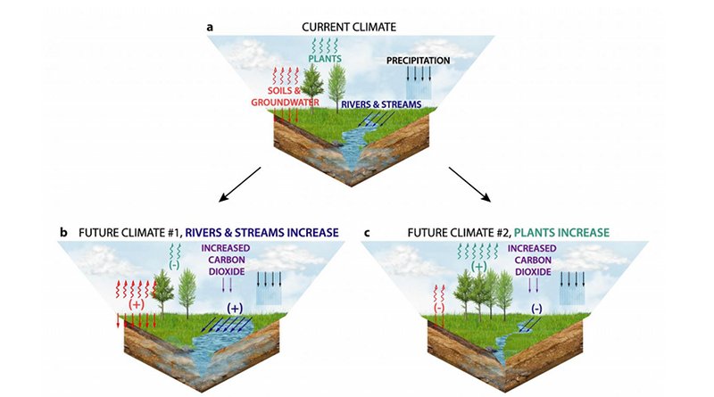 Allocation of water in the current climate and two future climates with high carbon dioxide. Future climate 1: where plant stomata close in response to high carbon dioxide, increasing water in rivers and soils, making the land wetter. Future climate 2: where longer- and warmer-growing seasons and additional plant growth decrease water in rivers and soils, making the land drier. CREDIT Figure provided by Justin S. Mankin.