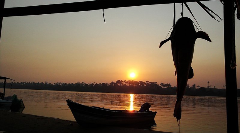 brazil amazon sunset