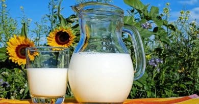 milk pitcher glass raw