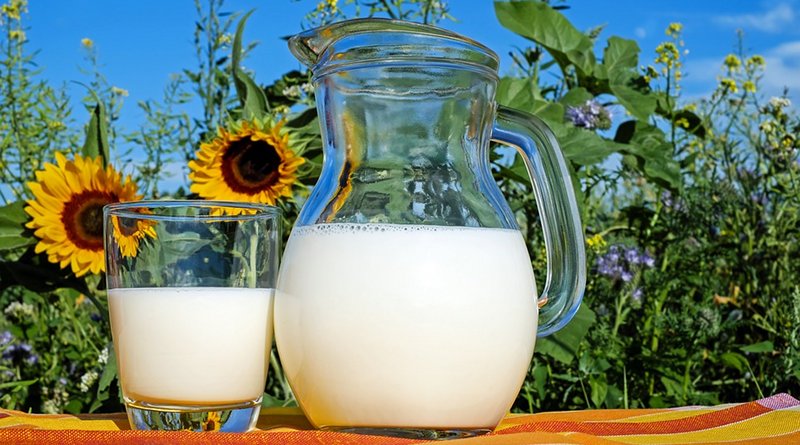 milk pitcher glass raw