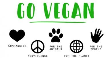 vegan diet