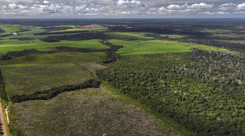 Secondary forests are increasingly fragmented, and isolated from remaining primary forests. CREDIT Marizilda Cruppe/Rede Amazônia Sustentável