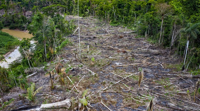 Drone photograph of deforestation for agriculture along the Sepahua River, Peru. Photo by Jason Houston/Upper Amazon Conservancy.