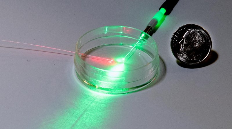 An empty petri dish with two optical fibers, illustrating one version of the researchers' experiment. The left-hand fiber (usually shining infrared light, but depicted here as visible red light) is a temperature sensor. The top fiber shines green, red or blue light into the petri dish to adjust the signal that the temperature sensor measures. CREDIT J.L. Lee/NIST