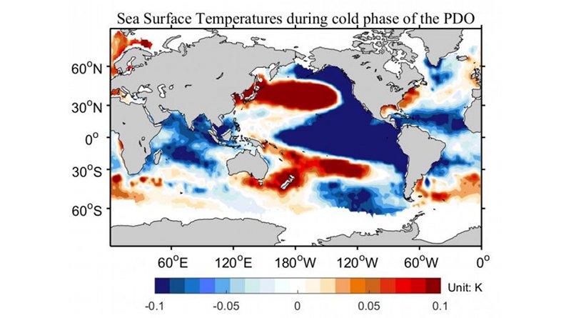 Sea surface temperatures during cold phase of PDO CREDIT CSHOR