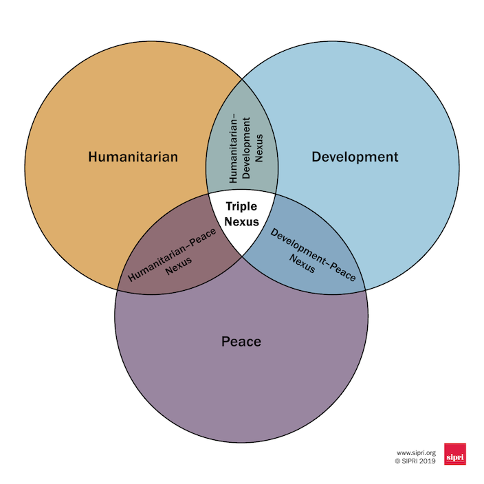 Figure 1. Illustration of the triple nexus