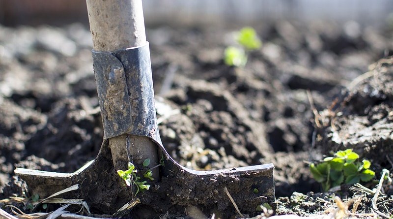 organic farming shovel soil