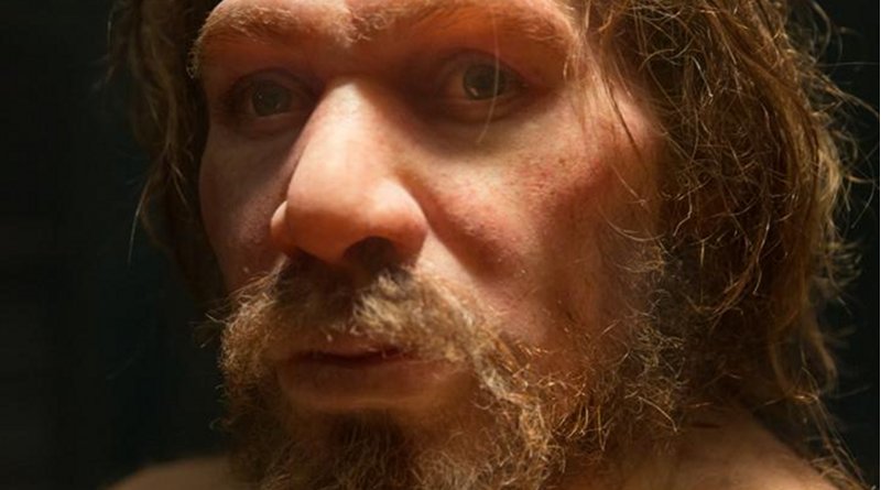 Small populations, inbreeding, and random demographic fluctuations could have been enough to cause Neanderthal extinction, according to a study published in the open-access journal PLOS ONE by Krist Vaesen from Eindhoven University of Technology, the Netherlands, and colleagues. CREDIT: Petr Kratochvil (CC0)