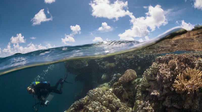 A scientific diver on the Global Reef Expedition sets out to survey the coral reefs of French Polynesia. CREDIT ©Michele Westmorland/iLCP