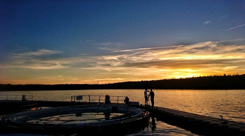 The research team collecting water sample at Lake Stechlin, Germany to study oxic methane production in lake water.