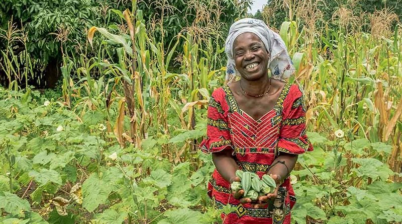 Seeds, tools and practical advice can make a world of difference to small-scale farmers. Copyright: One Acre Fund