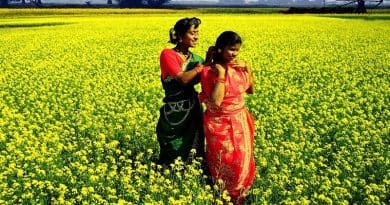 bangladesh women woman village field farm