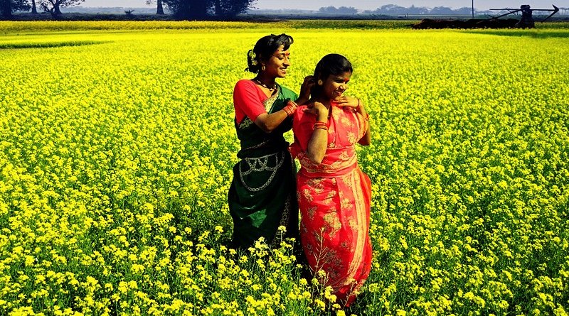 bangladesh women woman village field farm