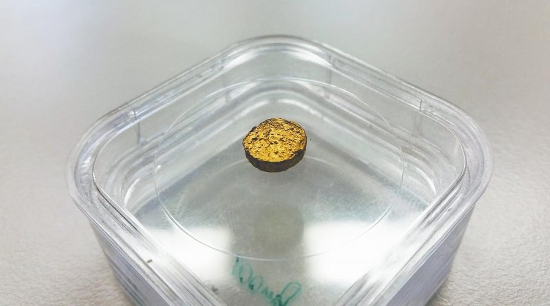 Looks amazingly similar to a real nugget: 18-carat gold with latex as the base material. CREDIT ETH Zurich