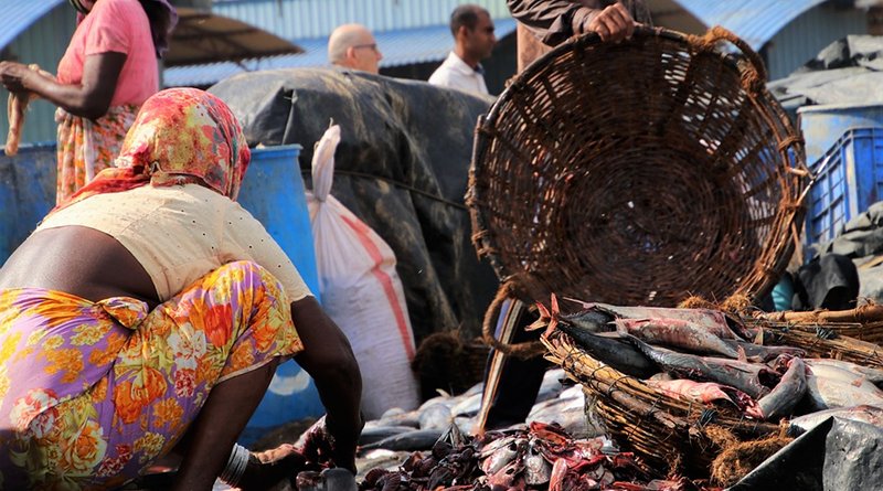 poverty market seafood fish