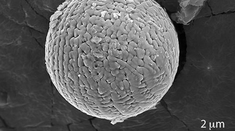 Iron micrometeorites, like seen here under a microscope, can provide new clues about the composition of the Earth's upper atmosphere 2.7 billion years ago. CREDIT Andrew Tomkins