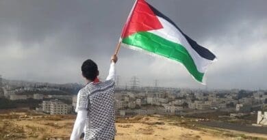 Young man with Palestine flag. Photo by Ahmed Abu Hameeda on Unsplash