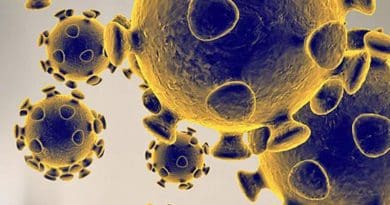 Coronavirus. Photo Credit: Food and Drug Administration