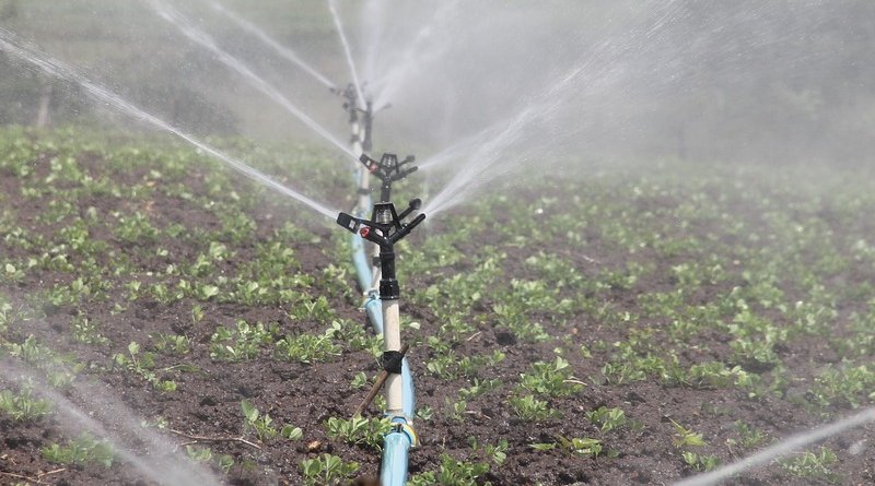 irrigation agriculture