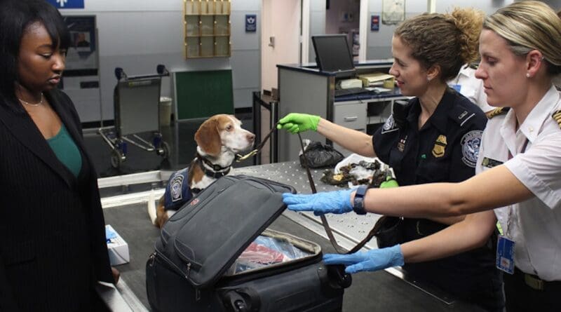 airport security tsa transportation control
