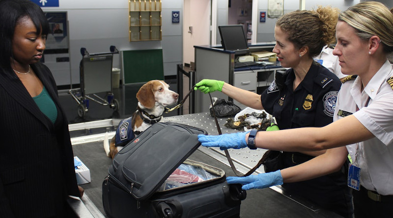 airport security tsa transportation control