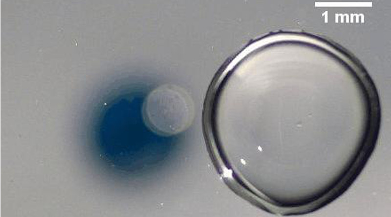 The image is a GIF showing the droplet interaction from underneath. CREDIT University of Leeds