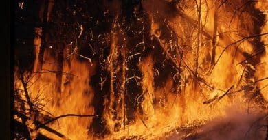 wildfire