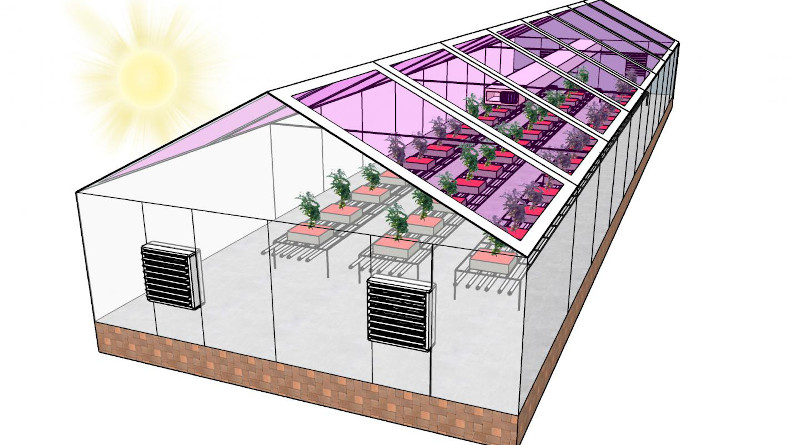 Many greenhouses could become energy neutral by using see-through solar panels to harvest energy - primarily from the wavelengths of light that plants don't use for photosynthesis. In some places this could make greenhouses energy neutral, or even allow them to generate enough electricity to sell it back to the grid -- creating a new revenue stream for growers. CREDIT Brendan O'Connor, NC State University