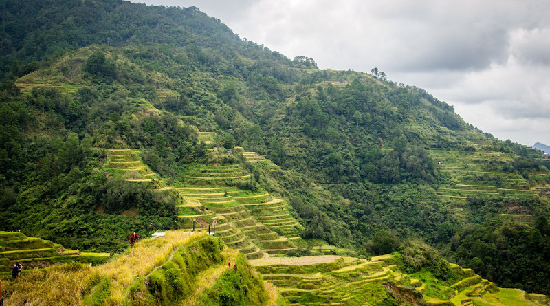 Philippines Rice Terraces