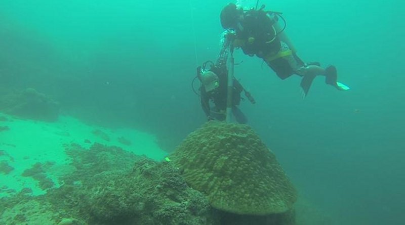 Phil Thompson and Nicolas Duprey, members of the Baker's lab (The University of Hong Kong) coring a massive coral Porites in Guam in 2014. A similar technique was used to extract the coral core used in the present study. It must be noted that coral coring do not kill the coral colony. CREDIT @The University of Hong Kong