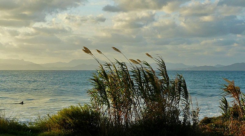 Coast Sea Rocky Coast Surf Beach Mediterranean