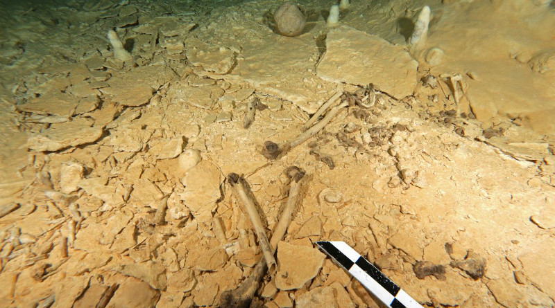 The skeleton was found in the Chan Hol underwater cave near the city of Tulúm on Mexico's Yucatán peninsula. CREDIT Photo: Eugenio Acevez
