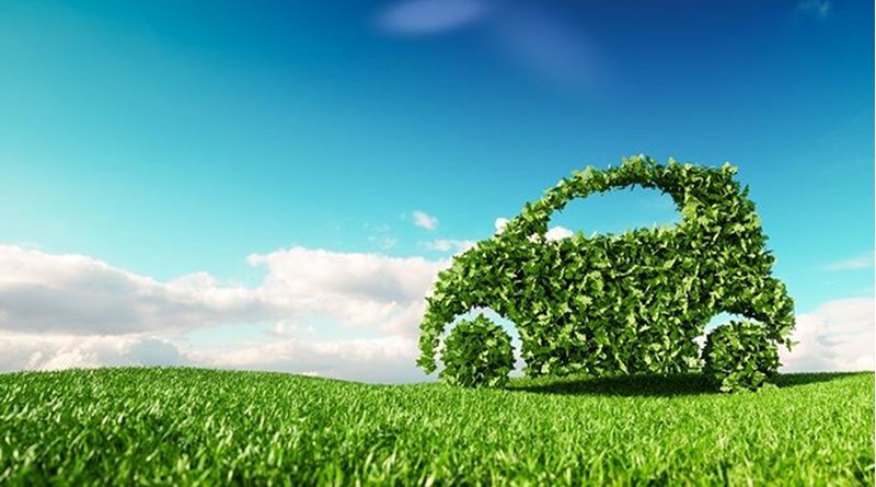 car auto green renewable plant © petrmalinak, Shutterstock