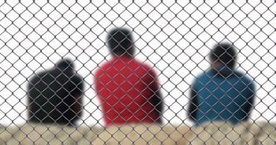 Fence Men Refugee Integration Deportation Stay