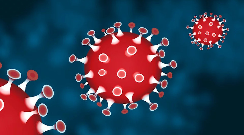 covid-19 Corona Coronavirus Virus Pandemic Epidemic