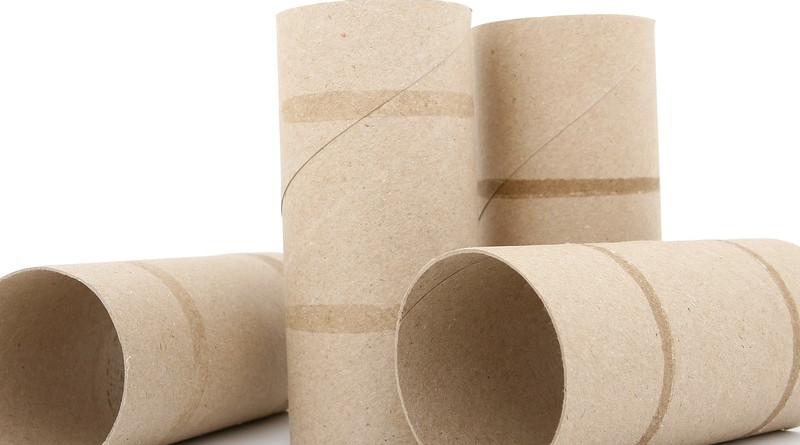 Roll Sanitary Tissue Toiletries Empty Toilet Roll