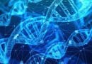 Dna Genetic Material Helix Proteins Biology
