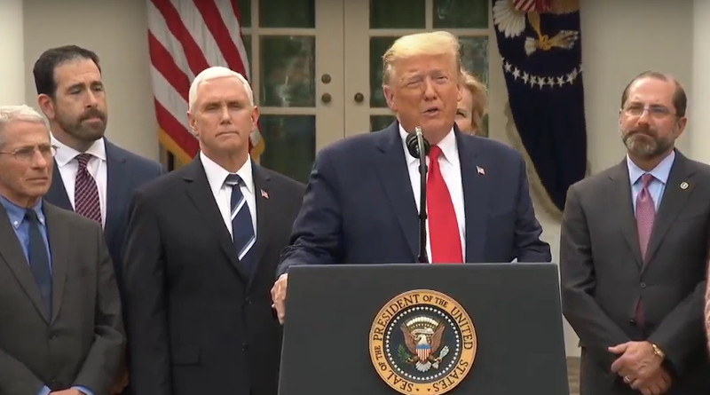 US President Donald Trump declares National Emergency due to Coronavirus pandemic. Photo Credit: White House video screenshot