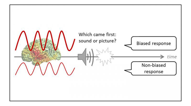 The strength of alpha brain waves (left) reveals biased decisions (right). CREDIT Grabot and Kayser, JNeurosci 2020