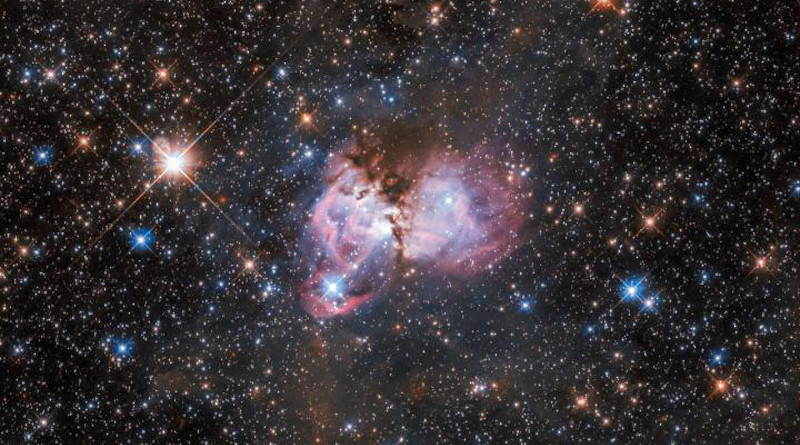 This image shows a region of space called LHA 120-N150. It is a substructure of the gigantic Tarantula Nebula. The latter is the largest known stellar nursery in the local Universe. The nebula is situated more than 160 000 light-years away in the Large Magellanic Cloud, a neighbouring dwarf irregular galaxy that orbits the Milky Way. CREDIT ESA/Hubble, NASA, I. Stephens