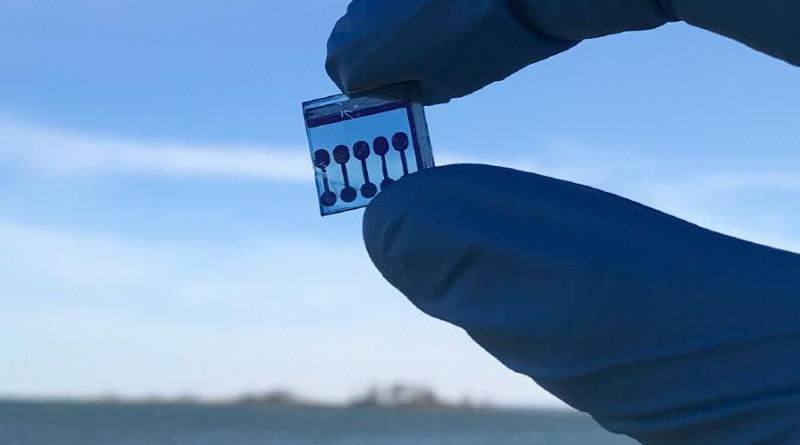 This image shows an organic solar cell, which are likely candidates for underwater applications as they can be made water resistant and perform excellently in low-light conditions. CREDIT Allison Kalpakci