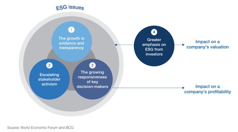 Framework on how ESG issues become financially material over time