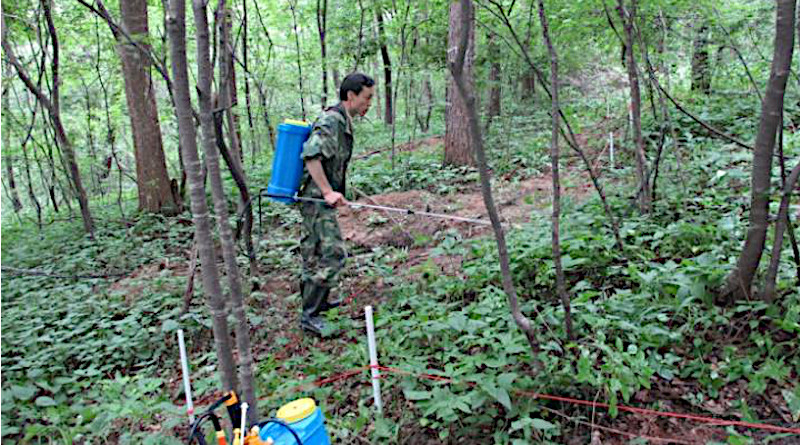 Spraying nitrogen solution onto a forest floor is a commonly used method, mimicking nitrogen deposition, but scientists are now concerned if they can represent the "real" results CREDIT Dan Xi