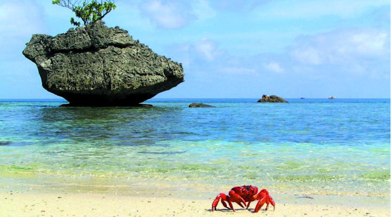 Scenic Christmas Island shot. CREDIT The University of Queensland