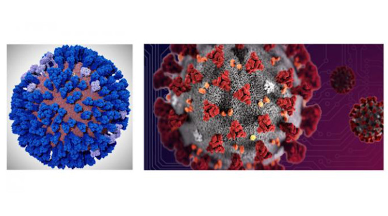 A coronavirus envelope all-atom computer model is being developed by the Amaro Lab of UC San Diego on the NSF-funded Frontera supercomputer of TACC at UT Austin. Biochemist Rommie Amaro hopes to build on her recent success with all-atom in?uenza virus simulations (left) and apply them to the coronavirus (right). CREDIT Lorenzo Casalino (UCSD), TACC