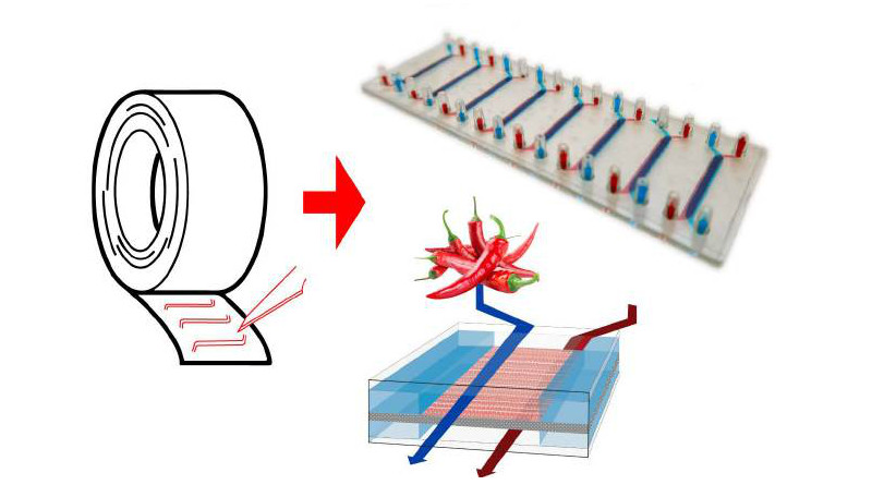 A simplified schematic of the gut-on-a-chip system made with double-sided tape.