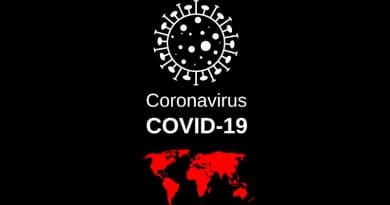 Virus Covid-19 Coronavirus Sars-Cov-2 Flash Corona-Virus