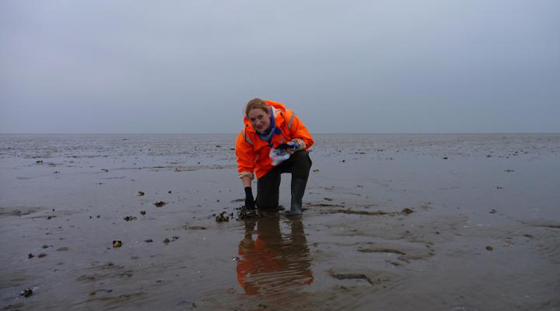 Jennifer Welsh during fleld work at the Wadden Sea CREDIT NIOZ