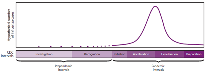 Figure 1 Typical seasonal flu epi curve for Canada, and CDC epi curve ‘intervals’. Source: Dena et al (2010).